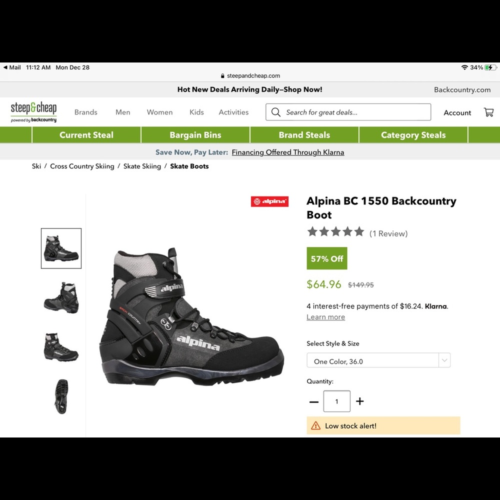 Alpina back country cross country ski boots.